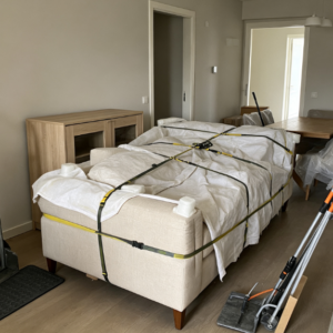 Basic Large Furniture Moving Package