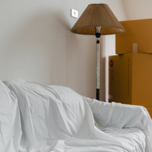 Fabric Sofa Furniture Moving Service