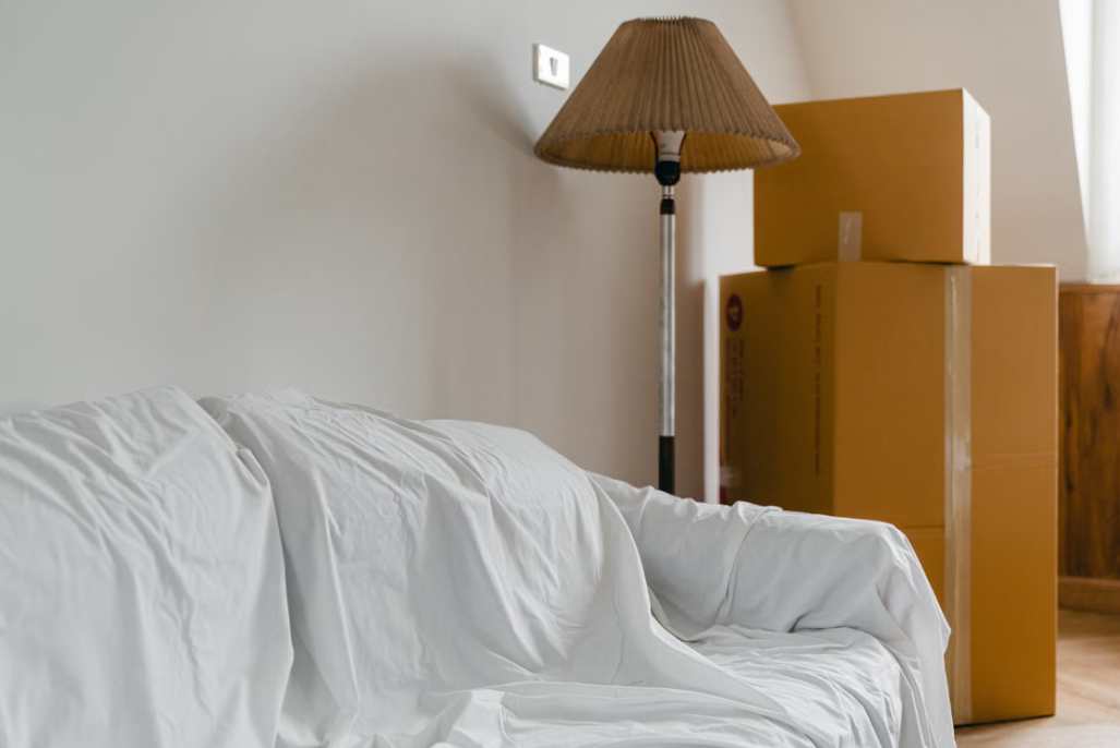 Fabric Sofa Furniture Moving Service